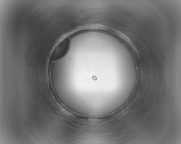 X0000073861176200608312019