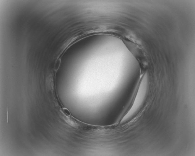 X0000073861177200608312019