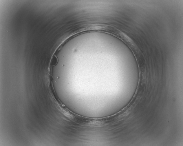 X0000073861178200608312019