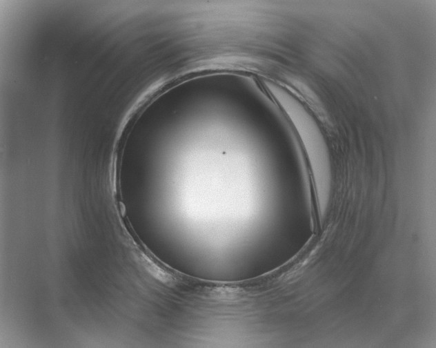 X0000073861180200608312019