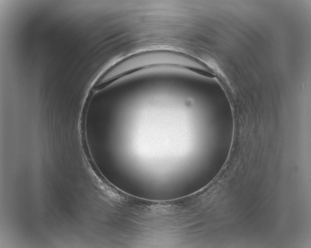 X0000073861181200608312019