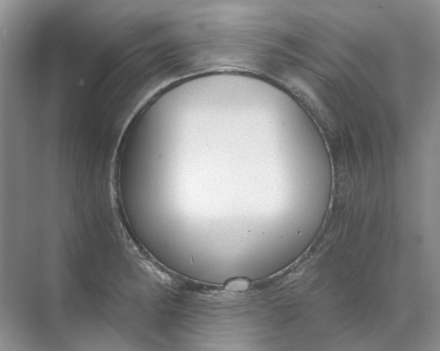 X0000073861182200608312019