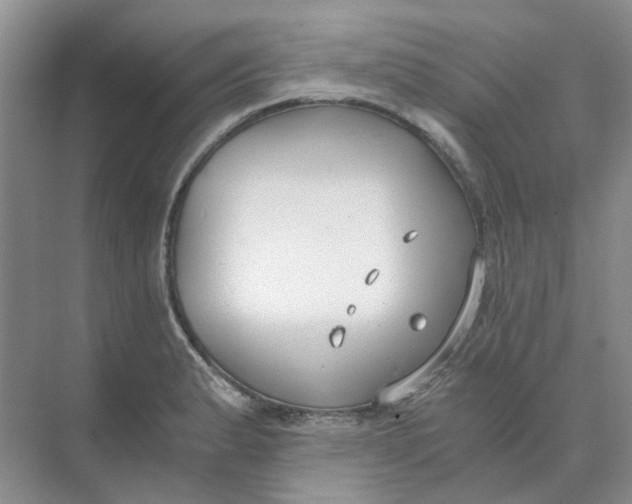 X0000073861183200608312019