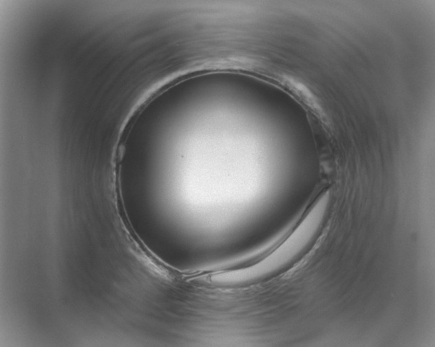 X0000073861184200608312019