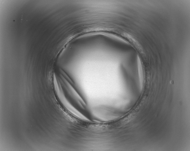 X0000073861185200608312019