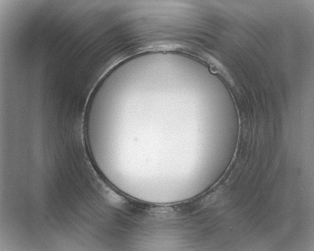 X0000073861186200608312018