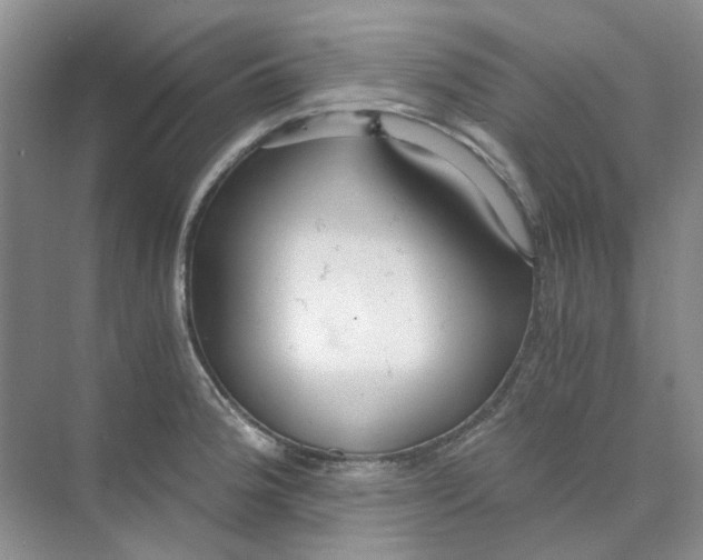 X0000073861188200608312018