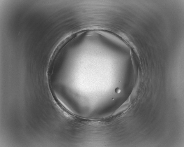 X0000073861189200608312018