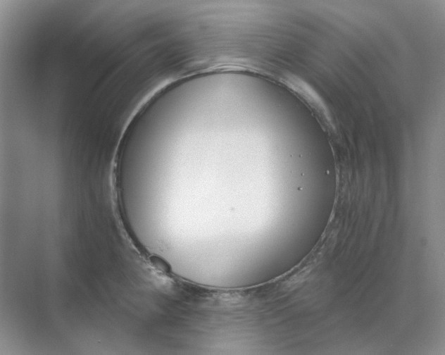 X0000073861190200608312018