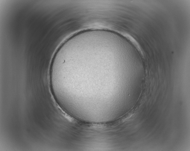 X0000073861191200608312018