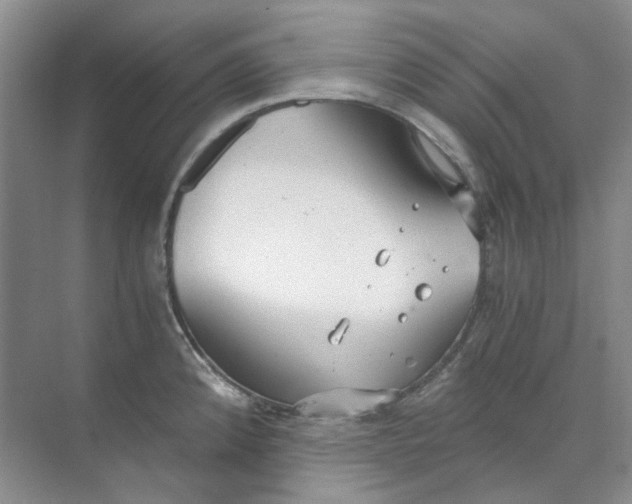 X0000073861192200608312018