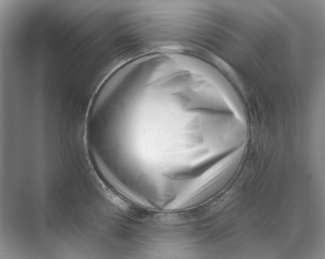 X0000073861194200608312018