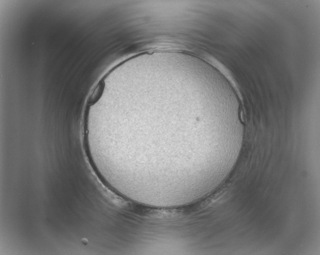 X0000073861195200608312018