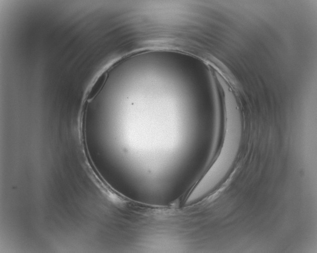 X0000073861196200608312018