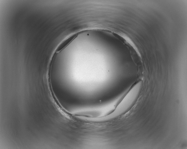 X0000073861197200608312018