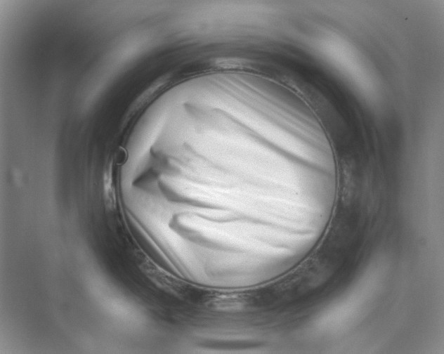 X0000073861198200608312018