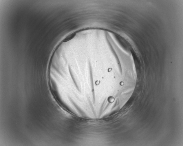 X0000073861199200608312018