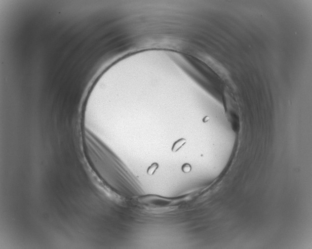 X0000073861200200608312018