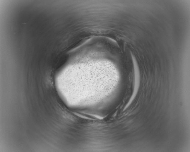 X0000073861202200608312017