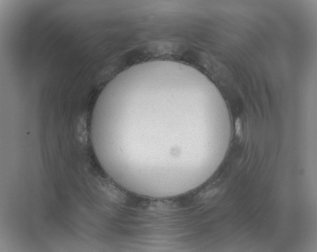 X0000073861203200608312017