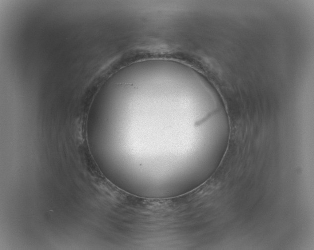 X0000073861205200608312018