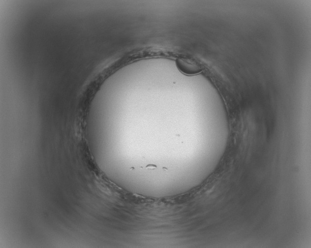 X0000073861207200608312018