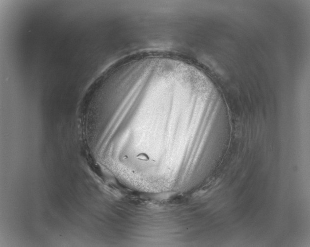 X0000073861208200608312018