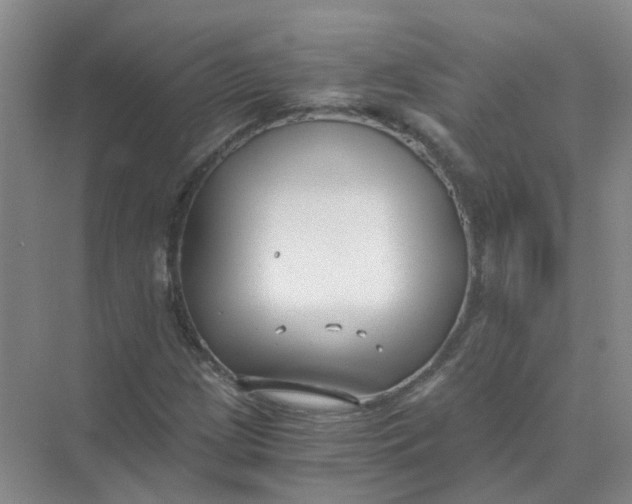 X0000073861209200608312018