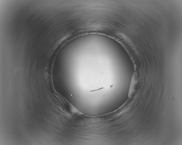 X0000073861210200608312018