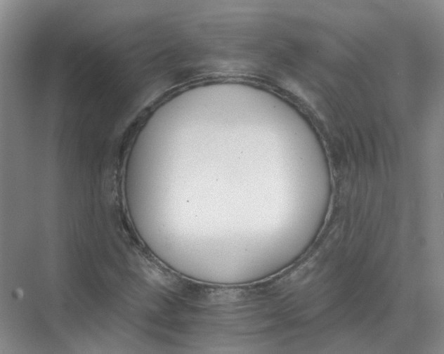 X0000073861211200608312018