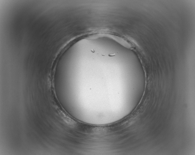 X0000073861212200608312018