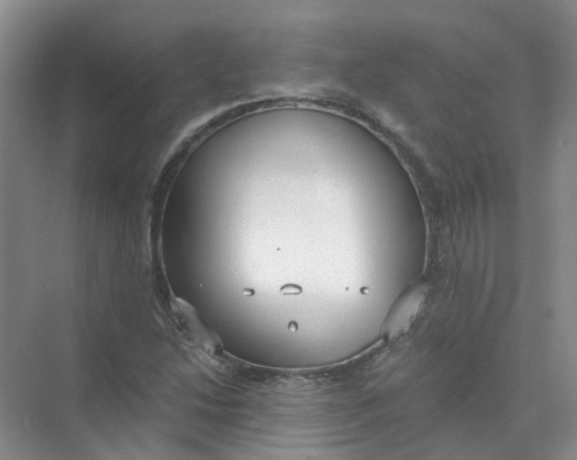 X0000073861214200608312018