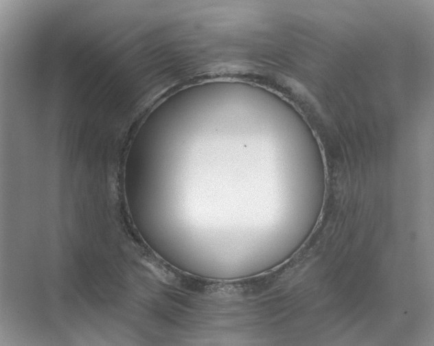 X0000073861217200608312018