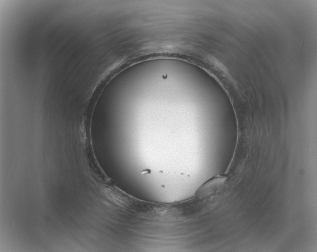 X0000073861218200608312018