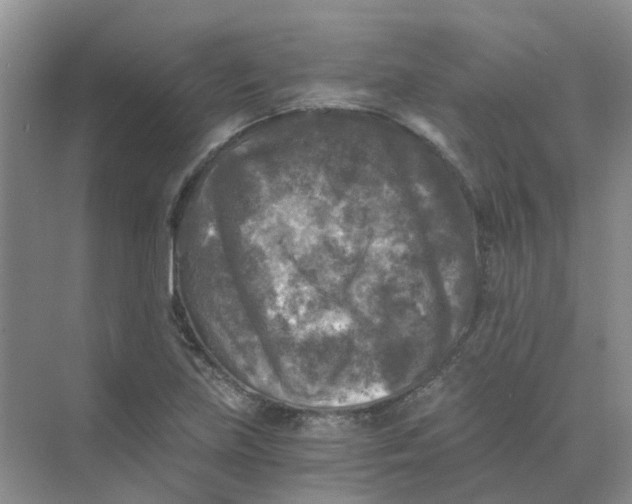 X0000073861219200608312018