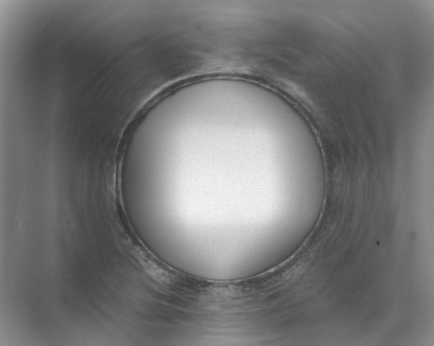 X0000073861220200608312018