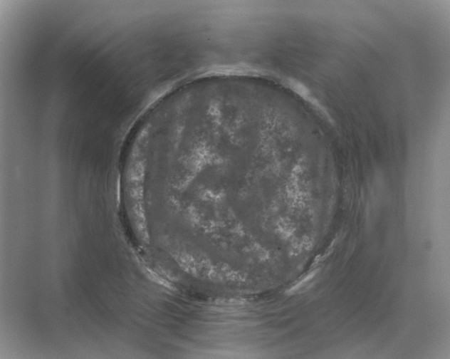 X0000073861221200608312018