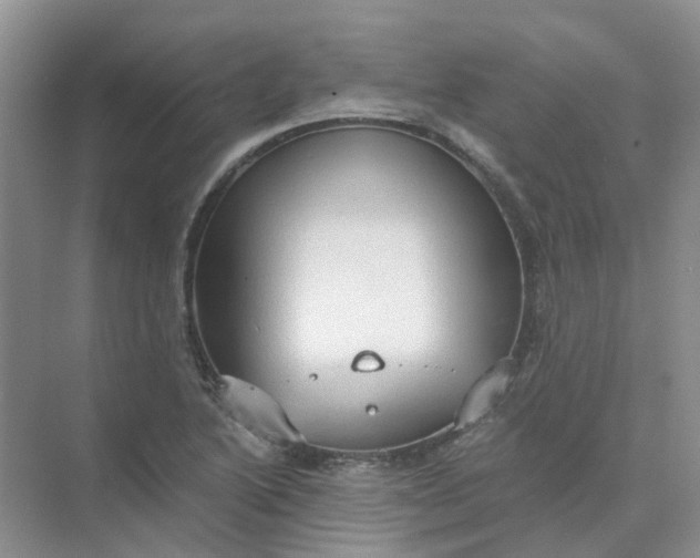 X0000073861222200608312018