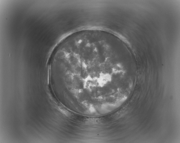 X0000073861223200608312018