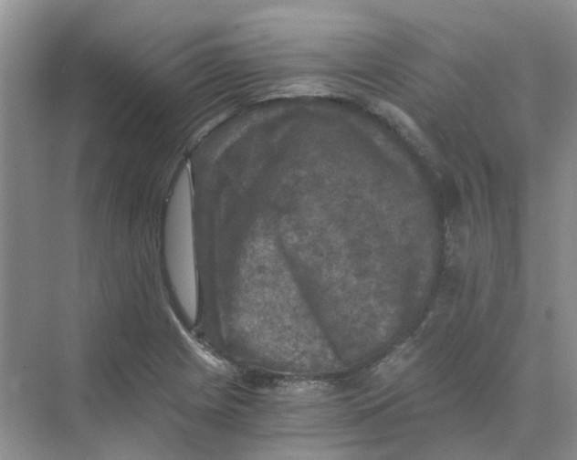 X0000073861225200608312018