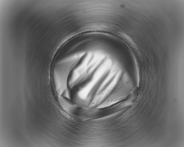 X0000073861226200608312018