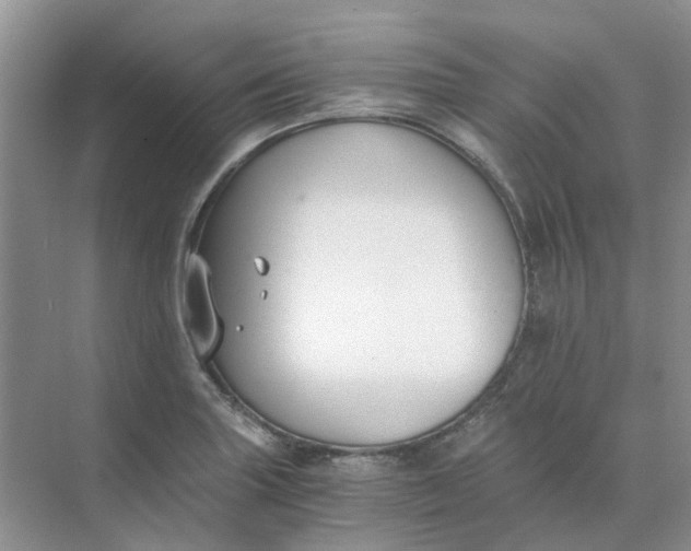 X0000073861227200608312018