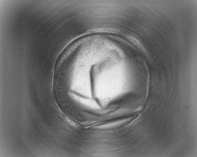 X0000073861228200608312018