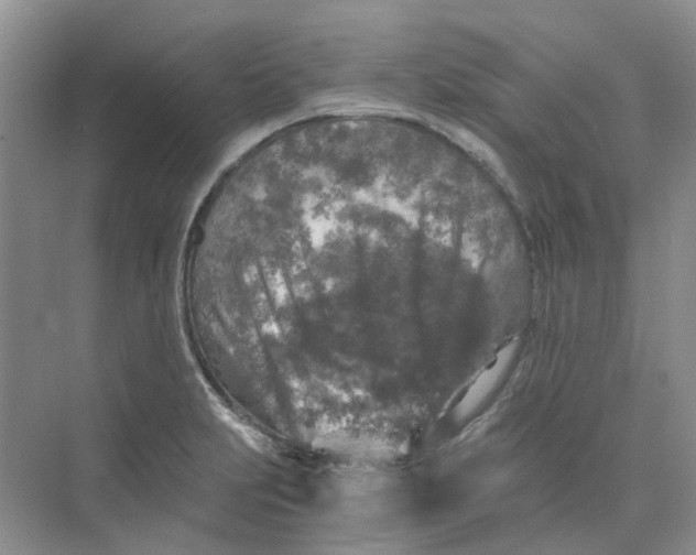 X0000073861231200608312018