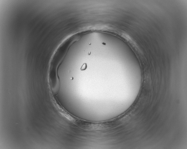 X0000073861232200608312018