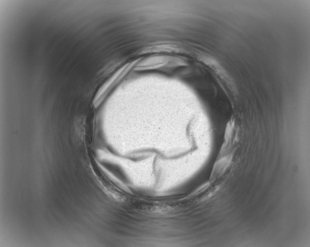 X0000073861233200608312018