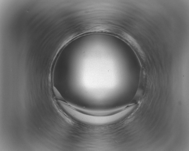 X0000073861234200608312018