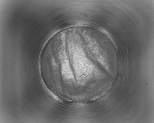 X0000073861235200608312018