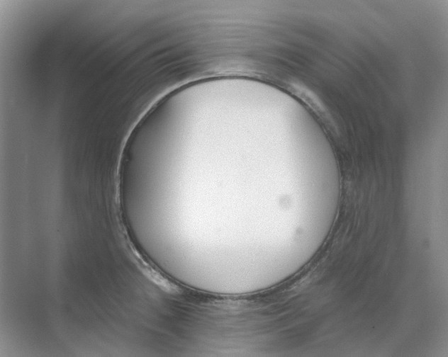 X0000073861236200608312018