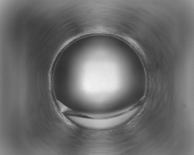 X0000073861238200608312018